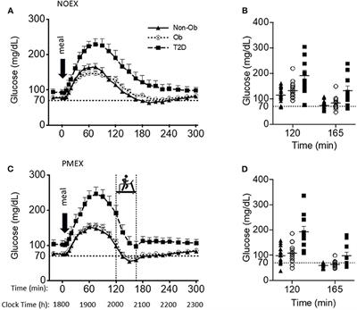 Post Meal Exercise May Lead to Transient Hypoglycemia Irrespective of Glycemic Status in Humans